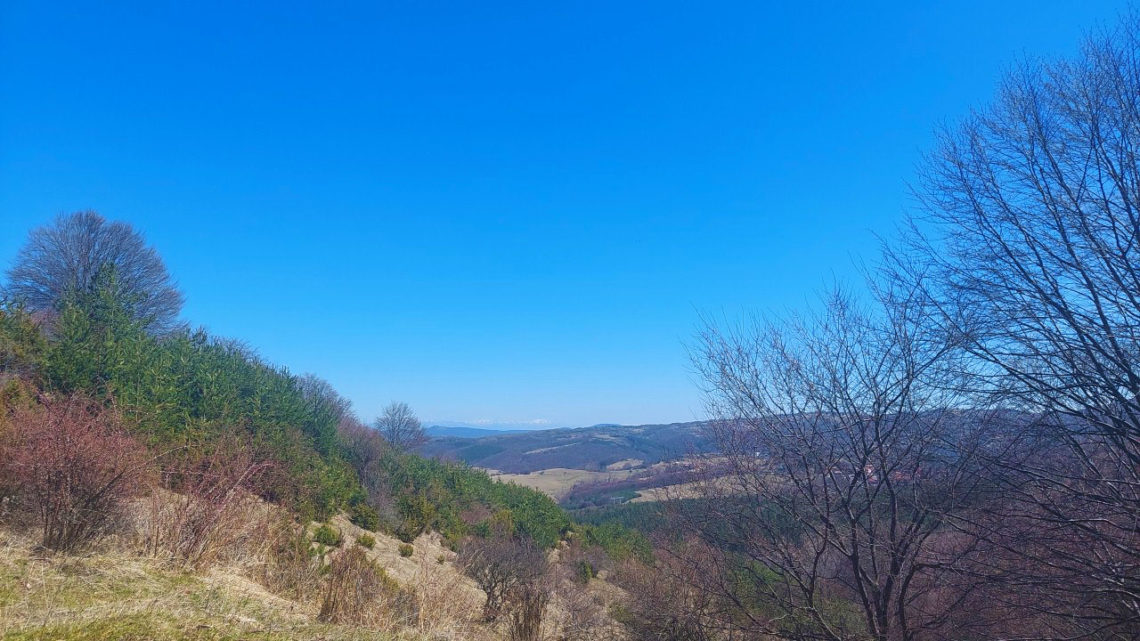 View in the vitosha mountains