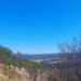 View in the vitosha mountains