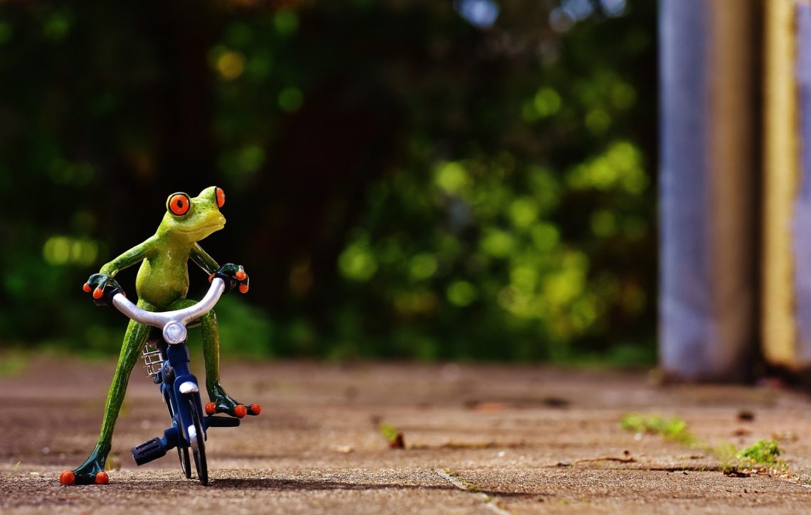 a frog on a bicycle